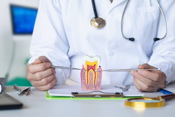 Best Emergency Dentist for Knocked-Out Tooth in Flint Hill, MO